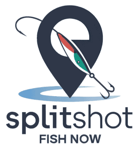 29f7942235dc43f6804d11ad2a37a7fc_a-logo-for-an-app-called-splitshot-with-a-tagline-xmvhYkmwQeejUAbT3OoOuQ-6urgXpbXTY2mG4q3dzCJ_g-1-1-272x300